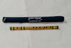 CSharpFluteImg